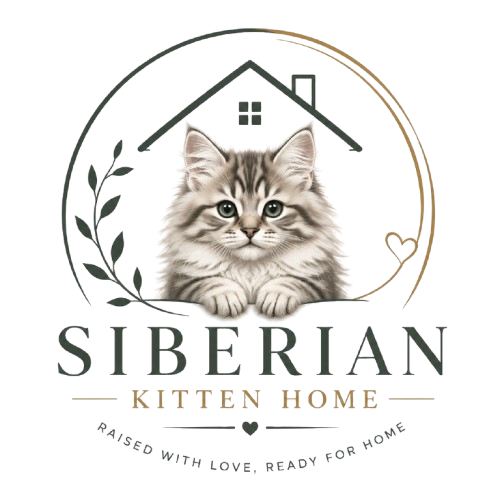 Siberian Kitten Home